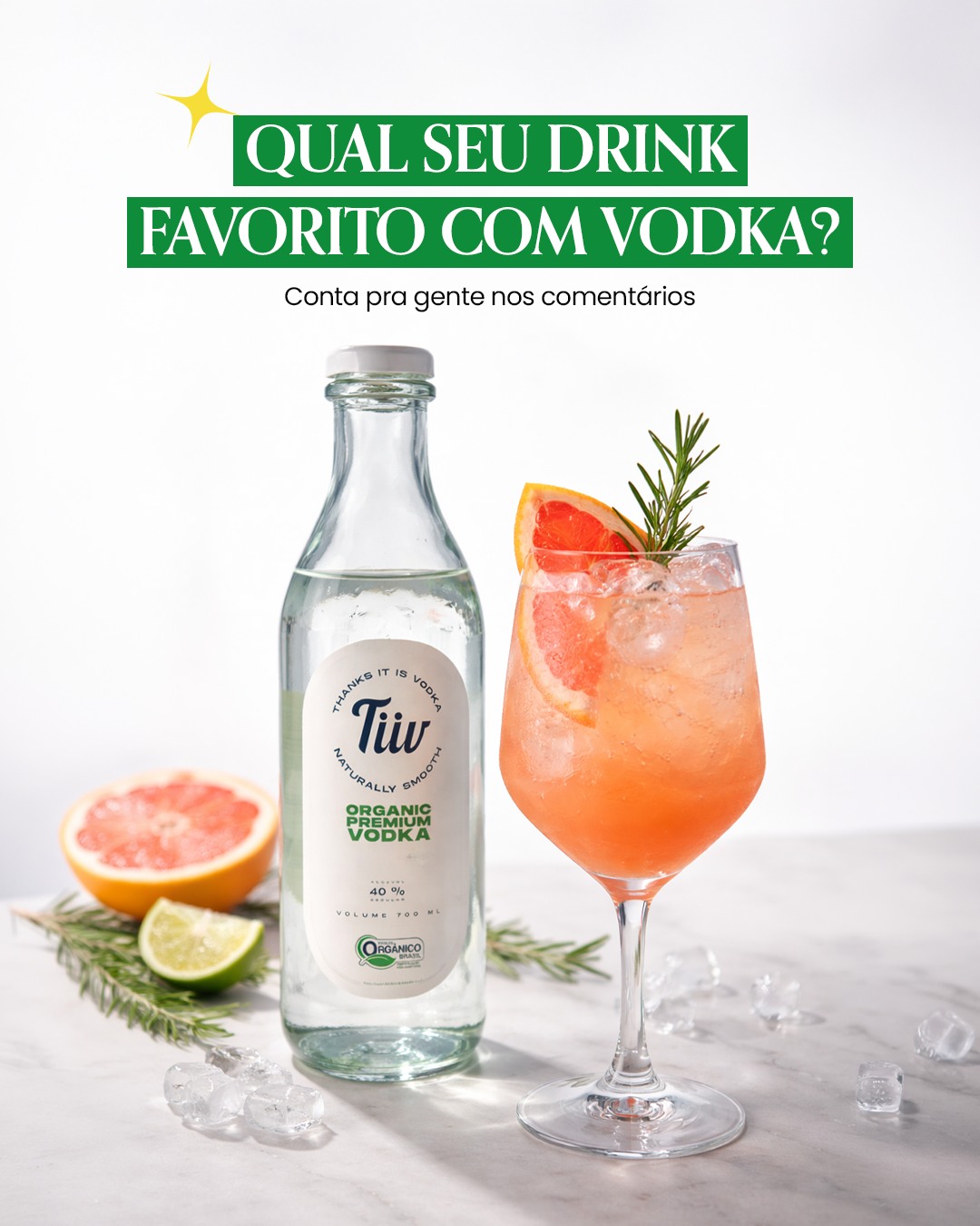 Guia de drinks com vodka