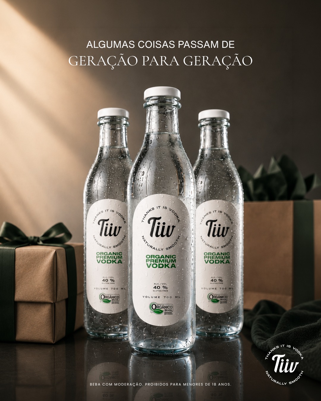 Garrafa Tiiv em bar intimista